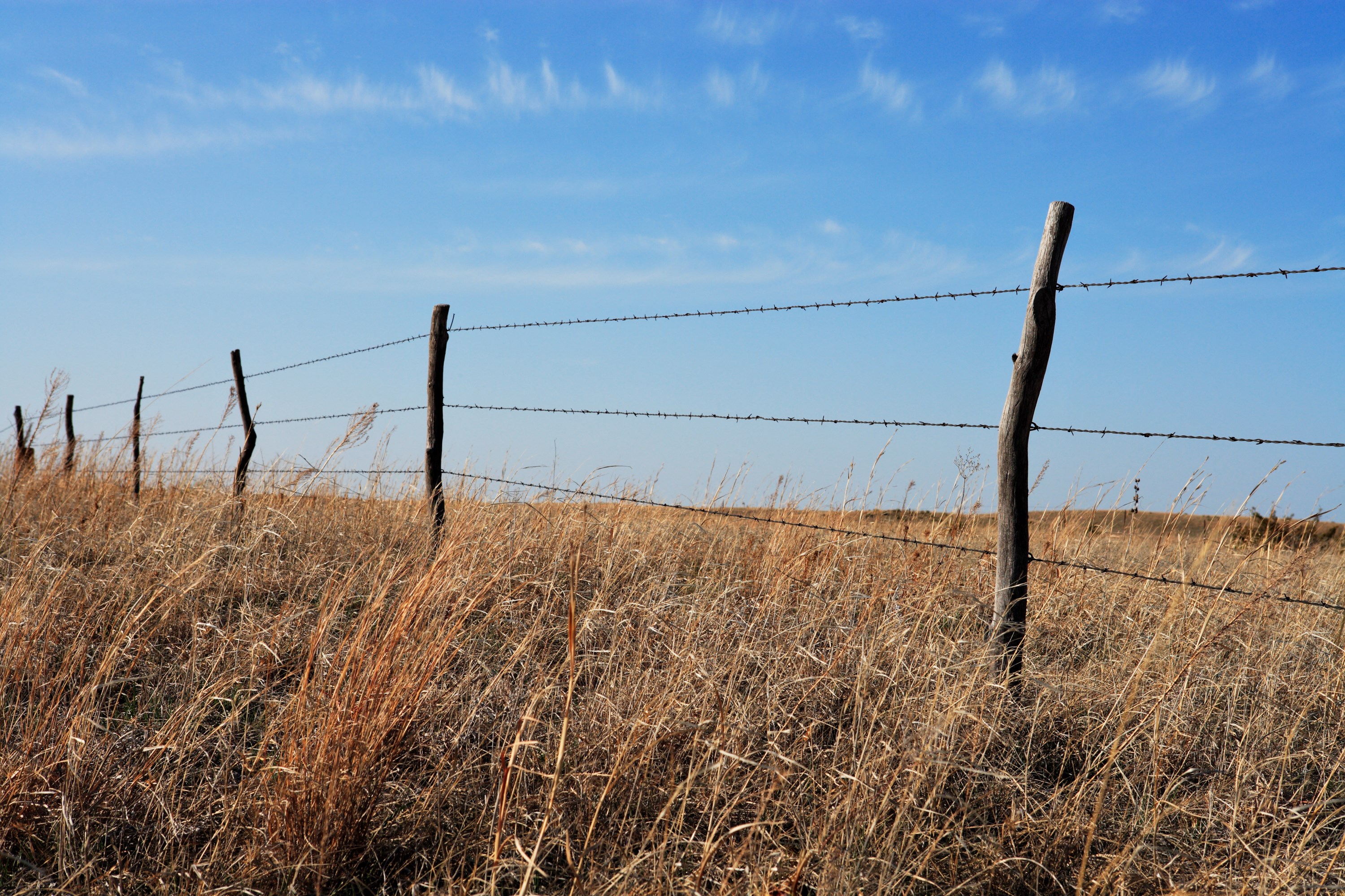 Old barbed wire fence Credit:iStock