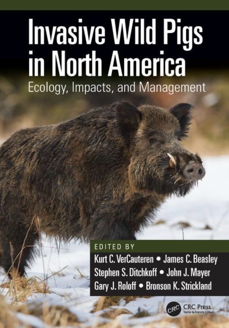 New Book Published Covering All Aspects Of Wild Pig Biology, Ecology ...