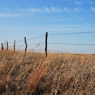 Old barbed wire fence Credit:iStock