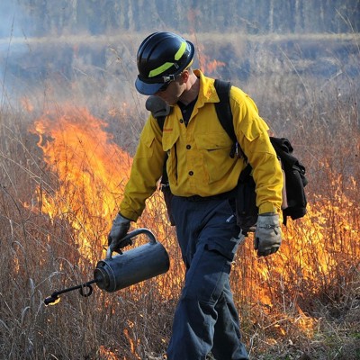 Conducting a prescribed burn.  Credit: