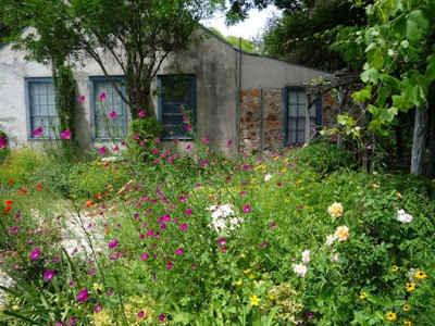Tips for Growing a Native Wildflower Landscape