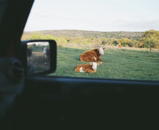 Screen Shot 2018-06-26 at 3.50.31 PM.png