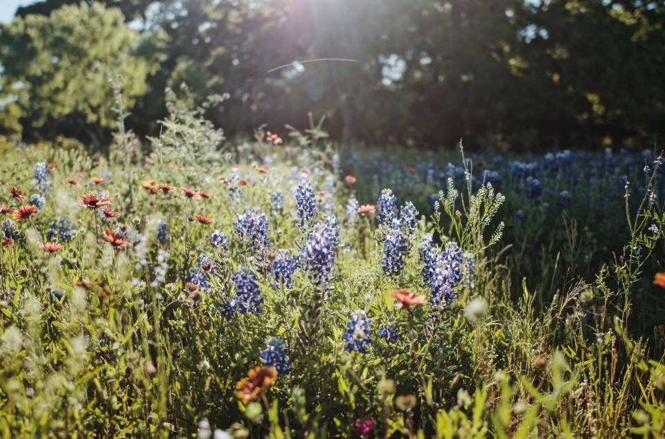 Ten things landowners in Texas need to know