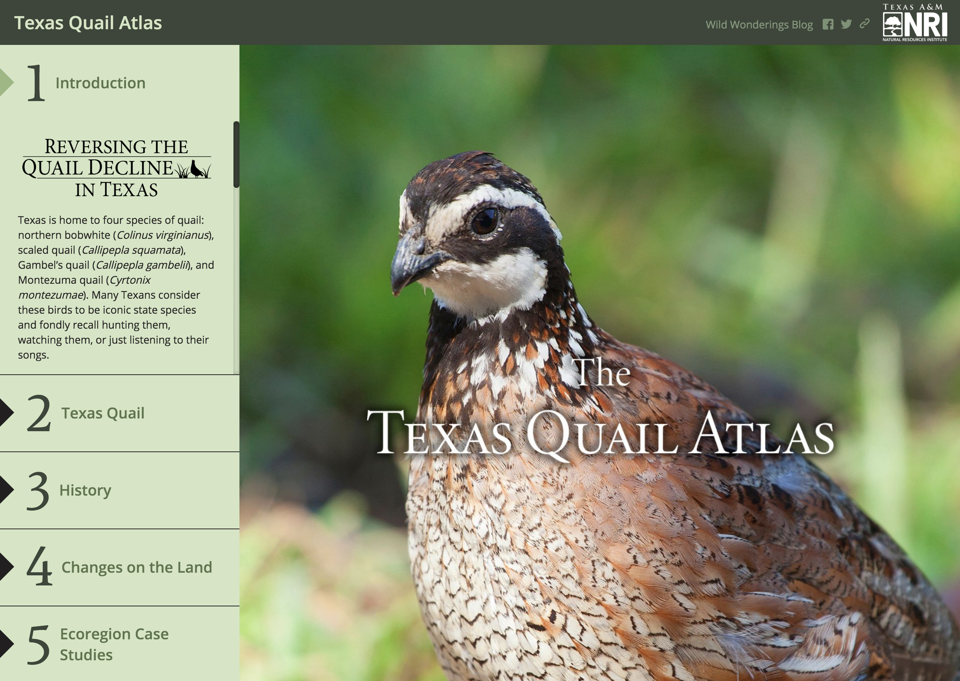 The Texas Quail Atlas