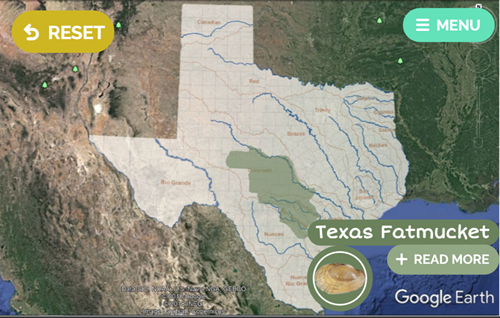 A map showing where the Texas fatmucket can be found.