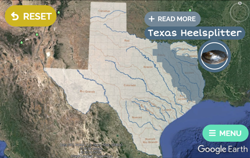 A map showing where the Texas heelsplitter can be found.