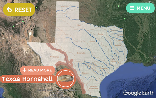 A map showing where the Texas hornshell can be found.