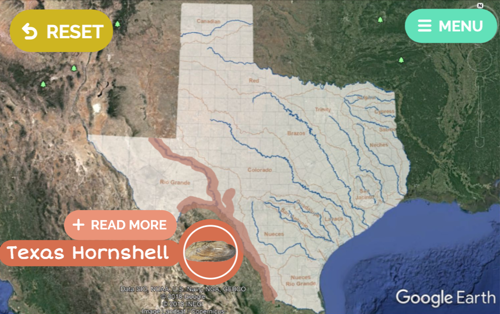 A map showing where the Texas hornshell can be found.