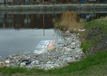 Trash collecting at the margins of a water body.