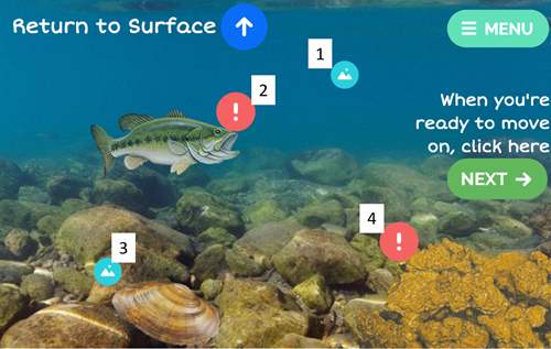 An underwater image showing various challenges/ecosystem roles for mussels that are indicated by icons.