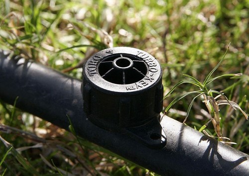 Part of a drip irrigation system.