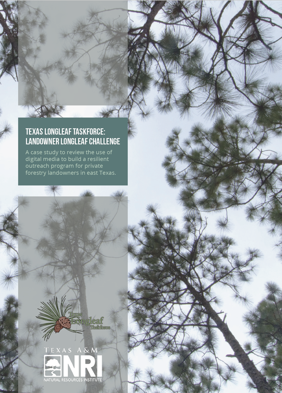 Texas Longleaf Taskforce: Landowner Longleaf Challenge