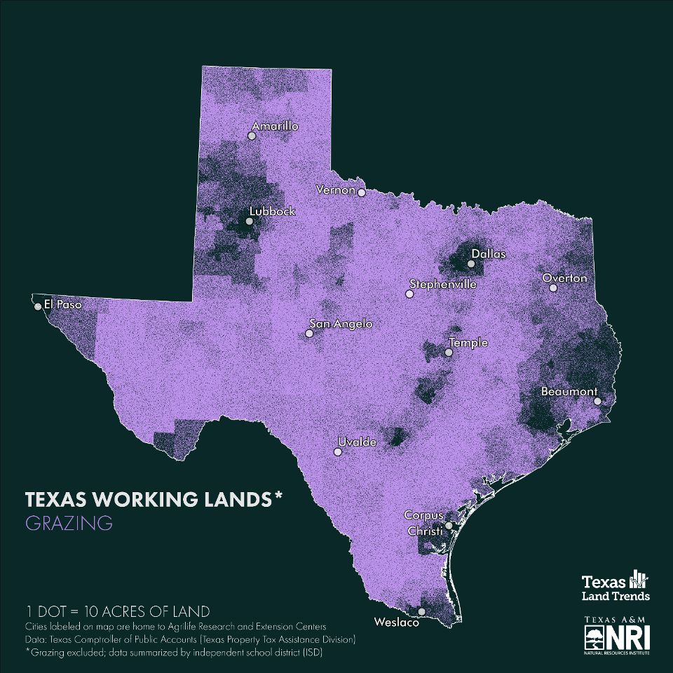 Figure 2.  Dot density map of grazing lands in Texas where each dot represents 10 acres of rural land.  