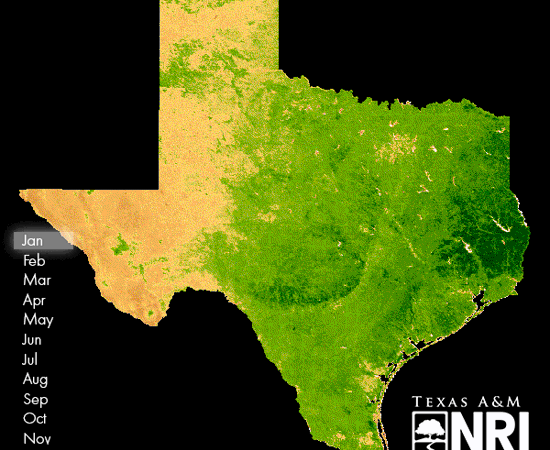 Phenology Slower (1)