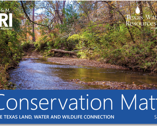 Conservation Matters September
