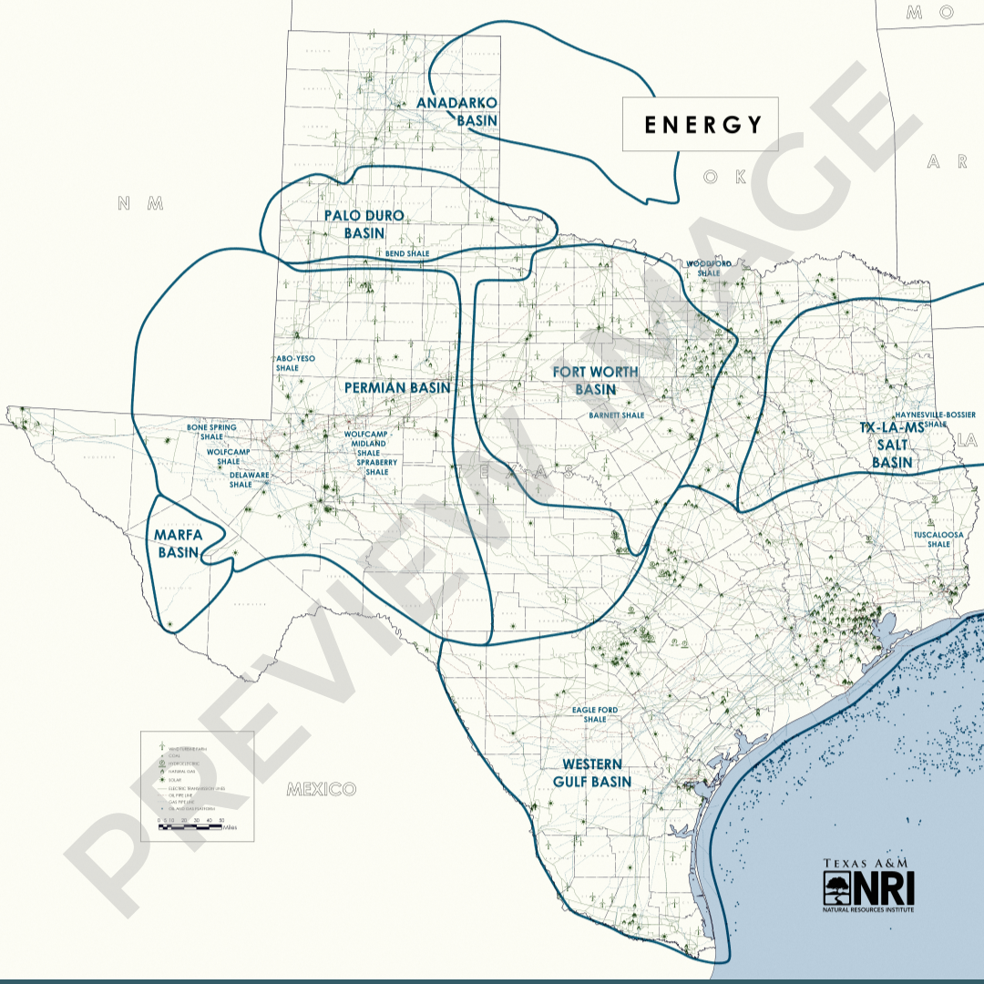 Texas Energy Map Logo