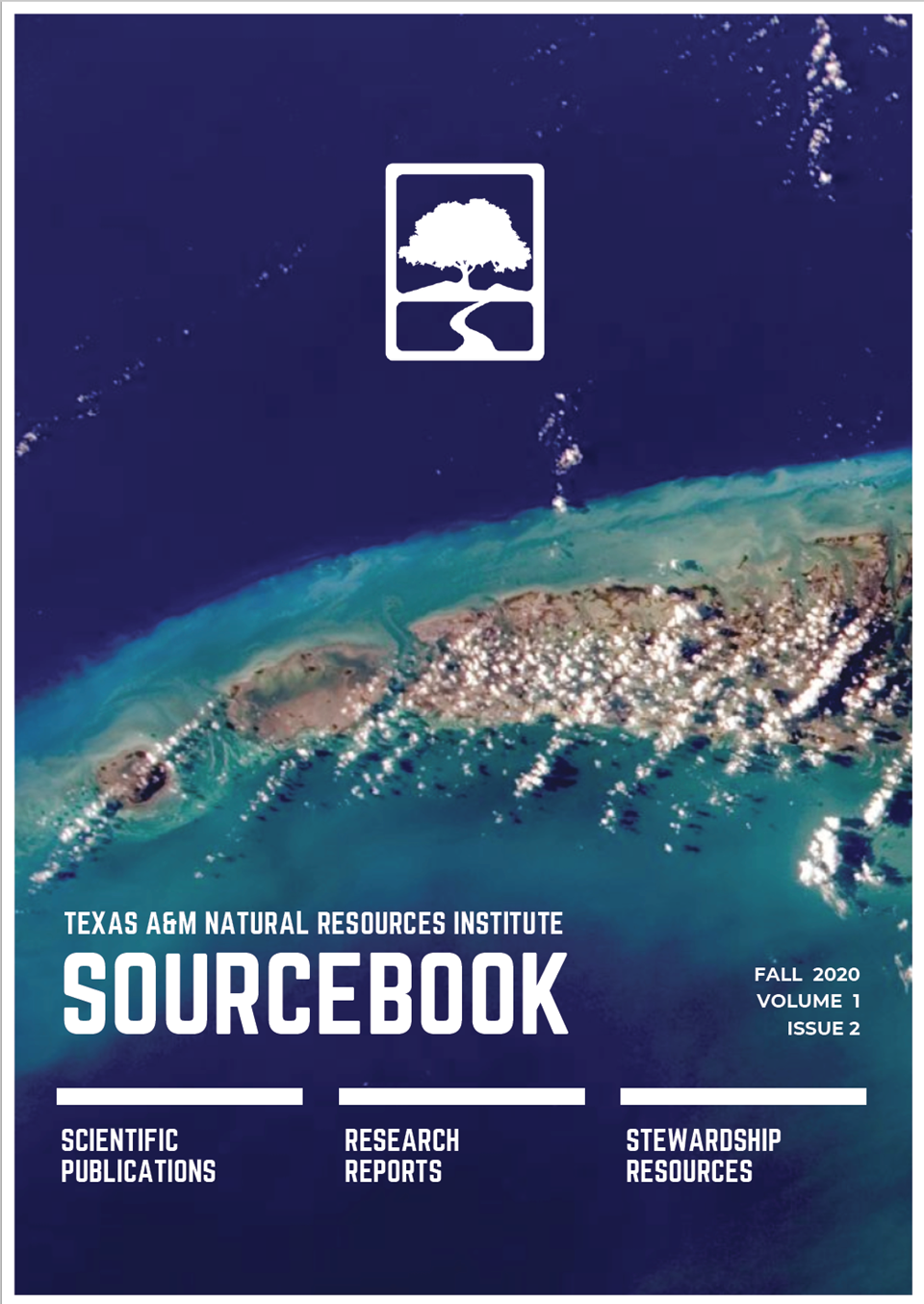Sourcebook: Fall 2020, Volume 1 Issue 2 