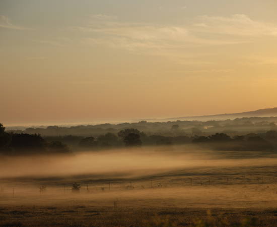 Bartush Ranch By Mary Del Olmo2