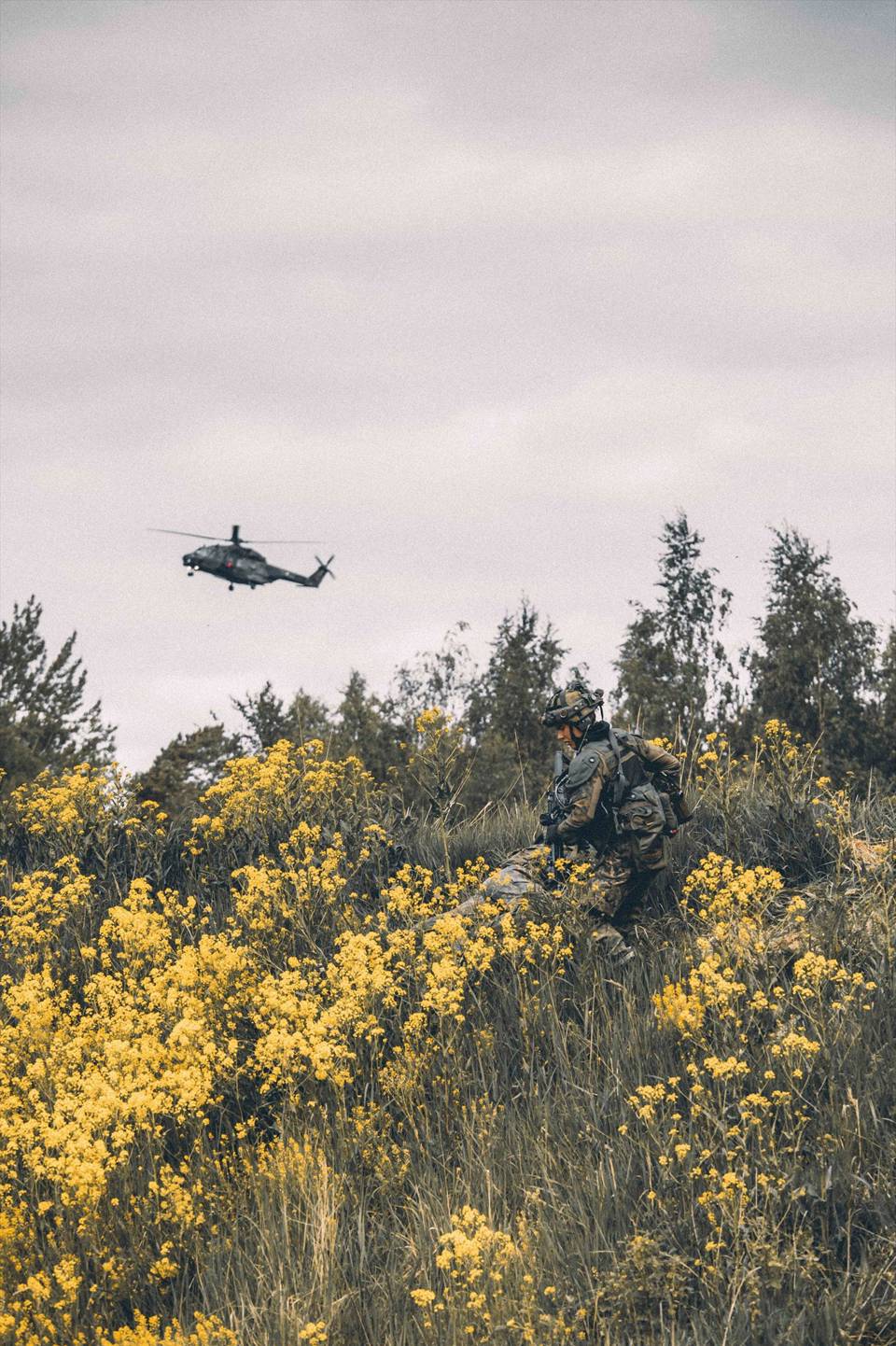 Soldier In Field