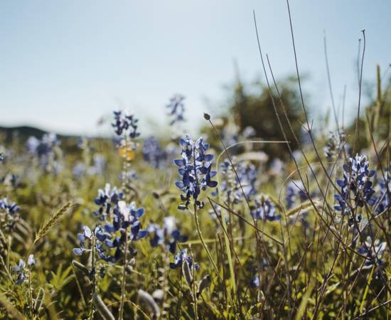 AF51973C 7786 4691 96E8 6D560C6C9429