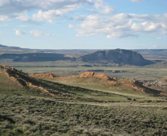 5852533789 D51f689059 O