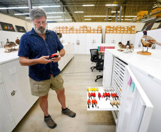 Voelker With Bird 768X516