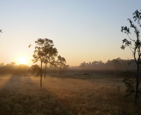 Screen Shot 2021 12 10 At 8.48.50 AM