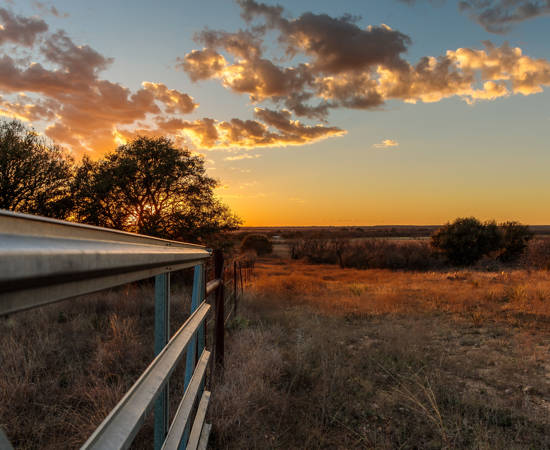 NRI Texas Landowner Survey