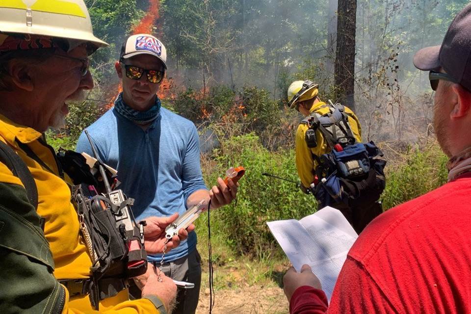 Forest managers conducting a prescribed burn