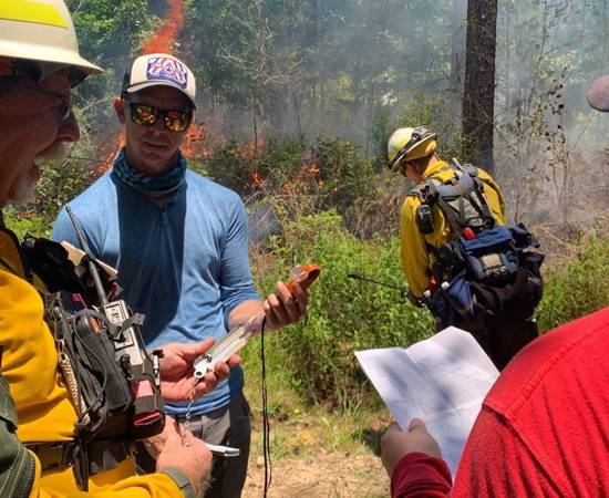 Texas Longleaf Burn