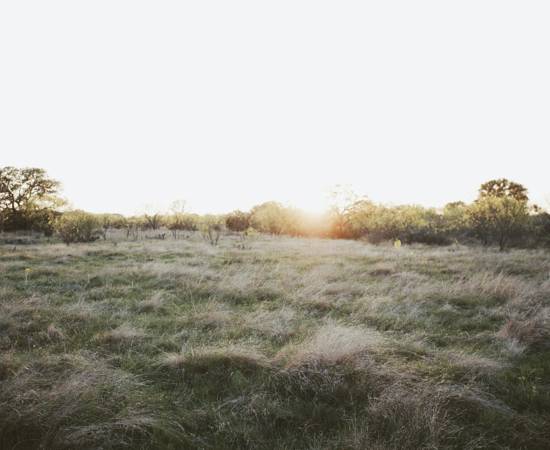 CBE4D895 DFE8 44B6 A582 BB7DAA73FEDB 2