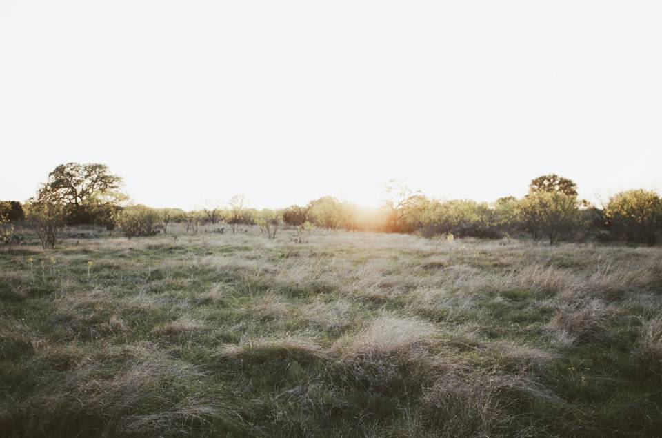 Just before sunset on the north end of the Pike Davis Ranch, Blanco County. I was about to begin the trek back to the house after taking some time to watch the wild turkeys roost in the oaks behind me.