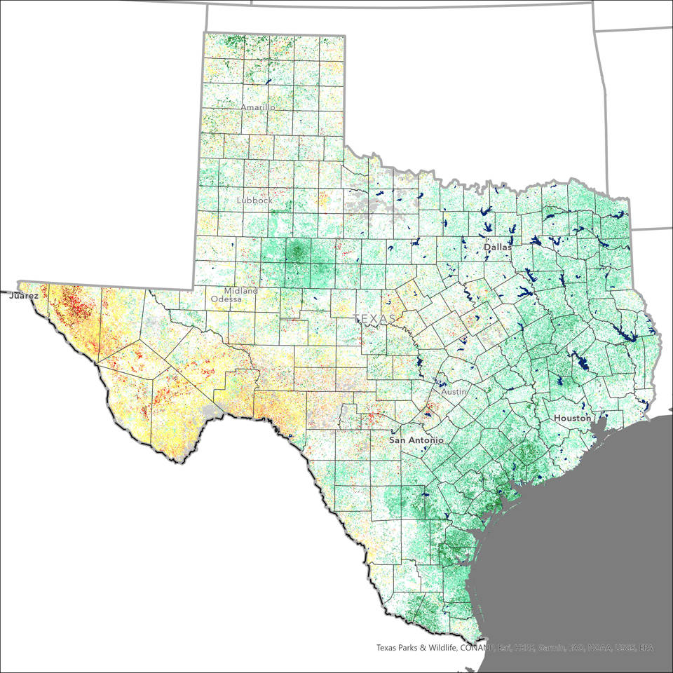 VegDRI on August 1, 2021 showing minimal drought.