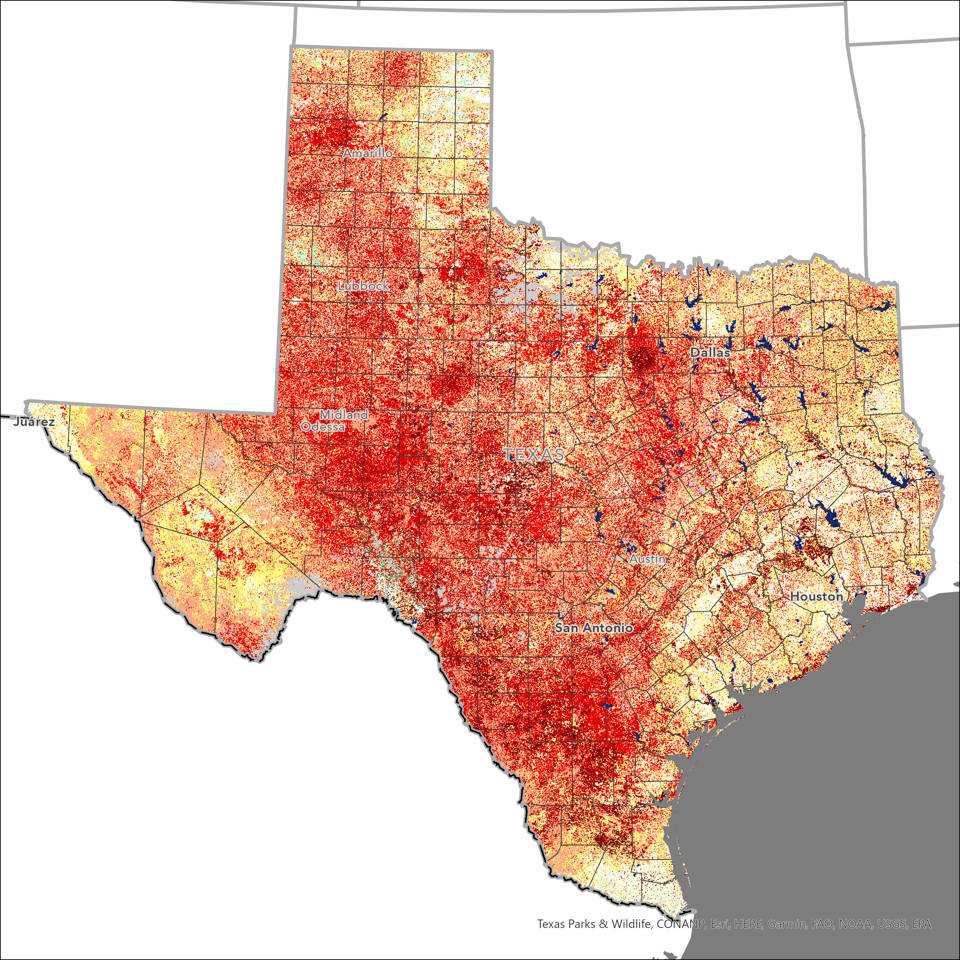 VegDRI on July 31, 2022 showing widespread drought a year later.