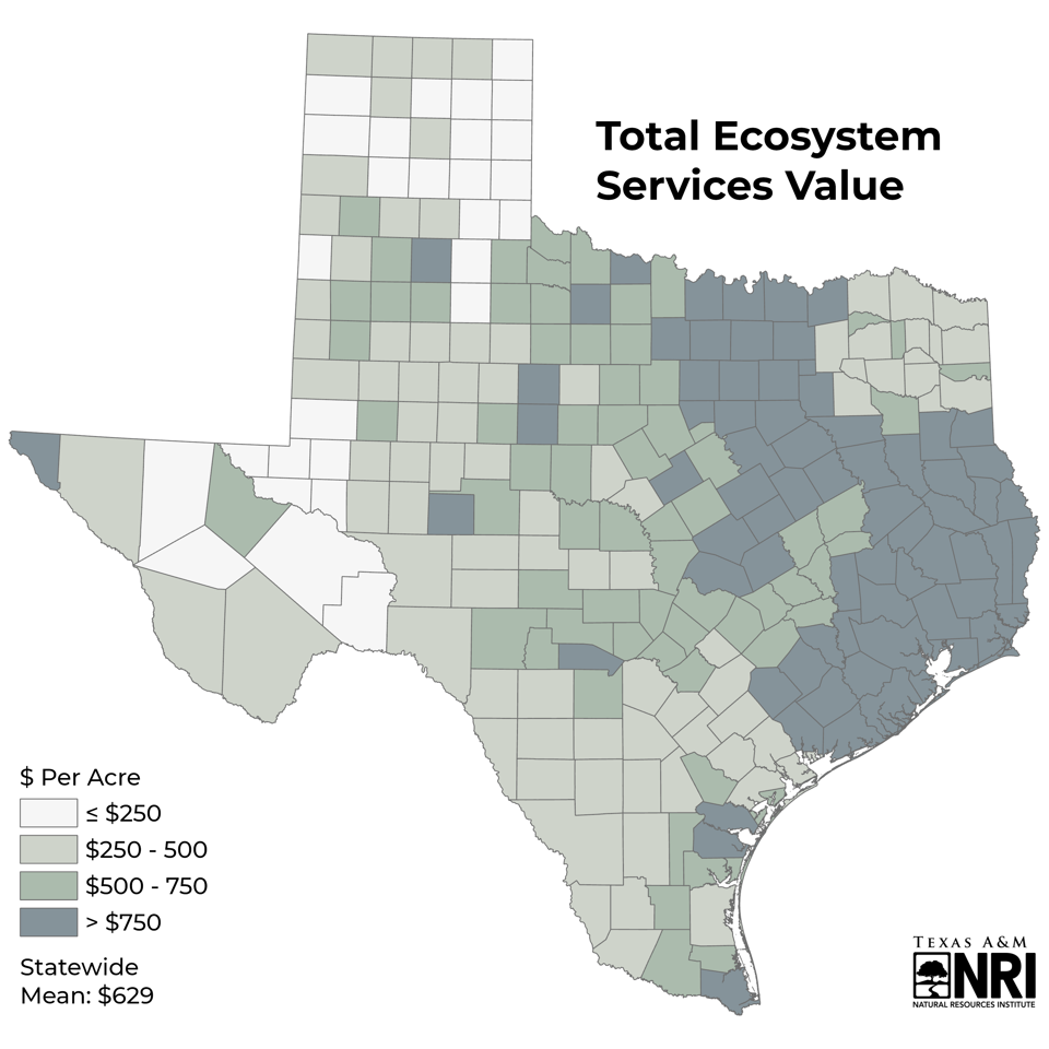 Annual Ecosystem Service Value