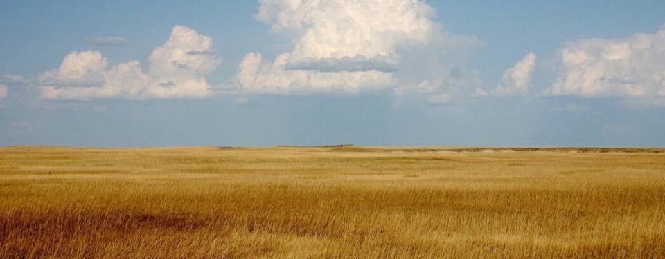 Cumulus Clouds Over Yellow Prairie2 1080X675