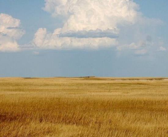 Cumulus Clouds Over Yellow Prairie2 1080X675