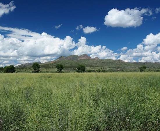 Babacomari Ranch 2 Arizona Land And Water Trust Scaled 900X600
