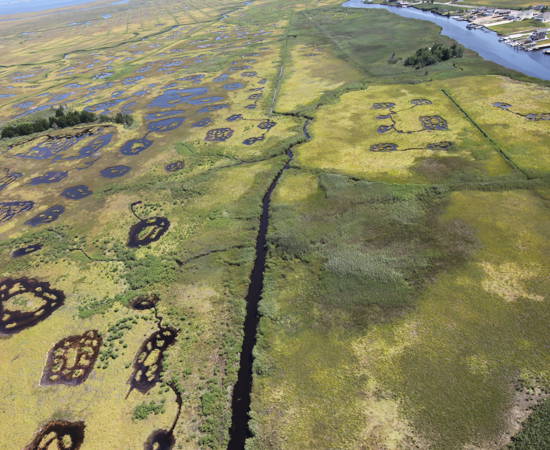 Marsh And Bogs At Edwin B Forsythe National Wildlife Refugre Lia Mclaughlin, USFWS