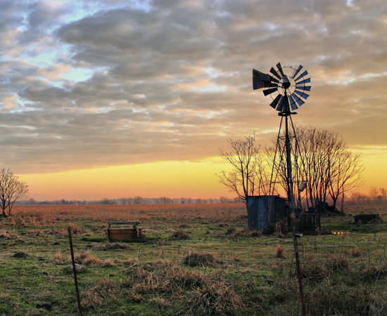 Adobestock 448142051