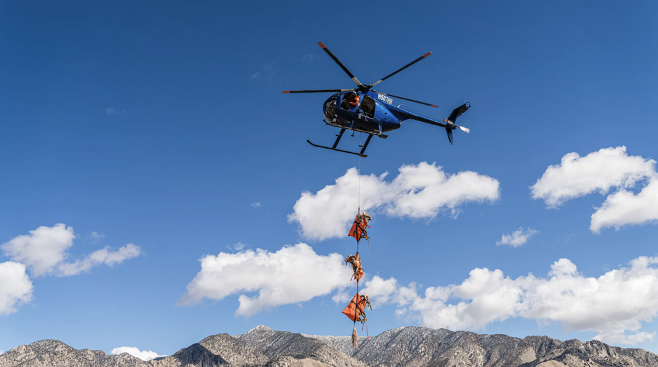 Bighorn sheep capture and release with NDOW