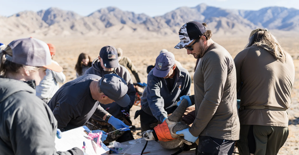 Data collection and pneumonia testing. Photo by Brady Miller.