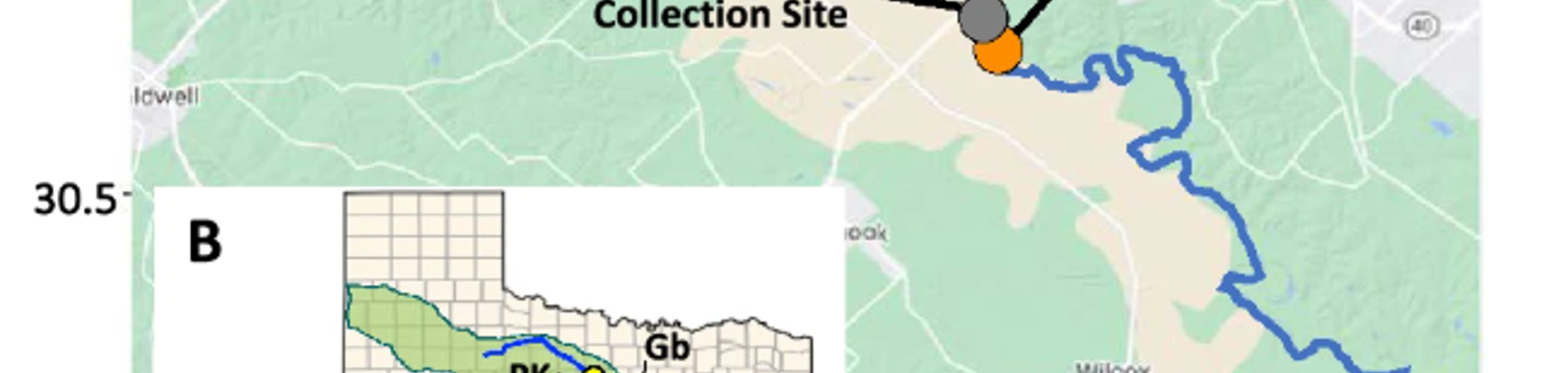 bg_image