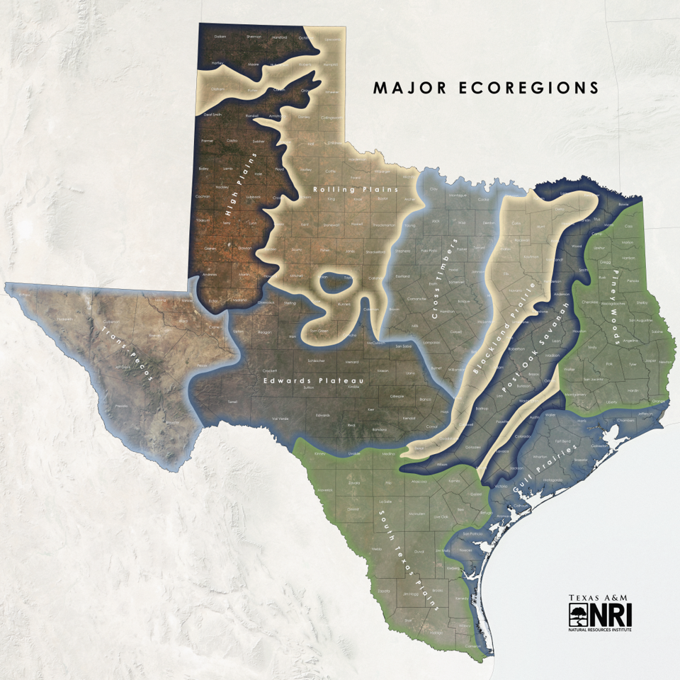 Texas Ecoregions