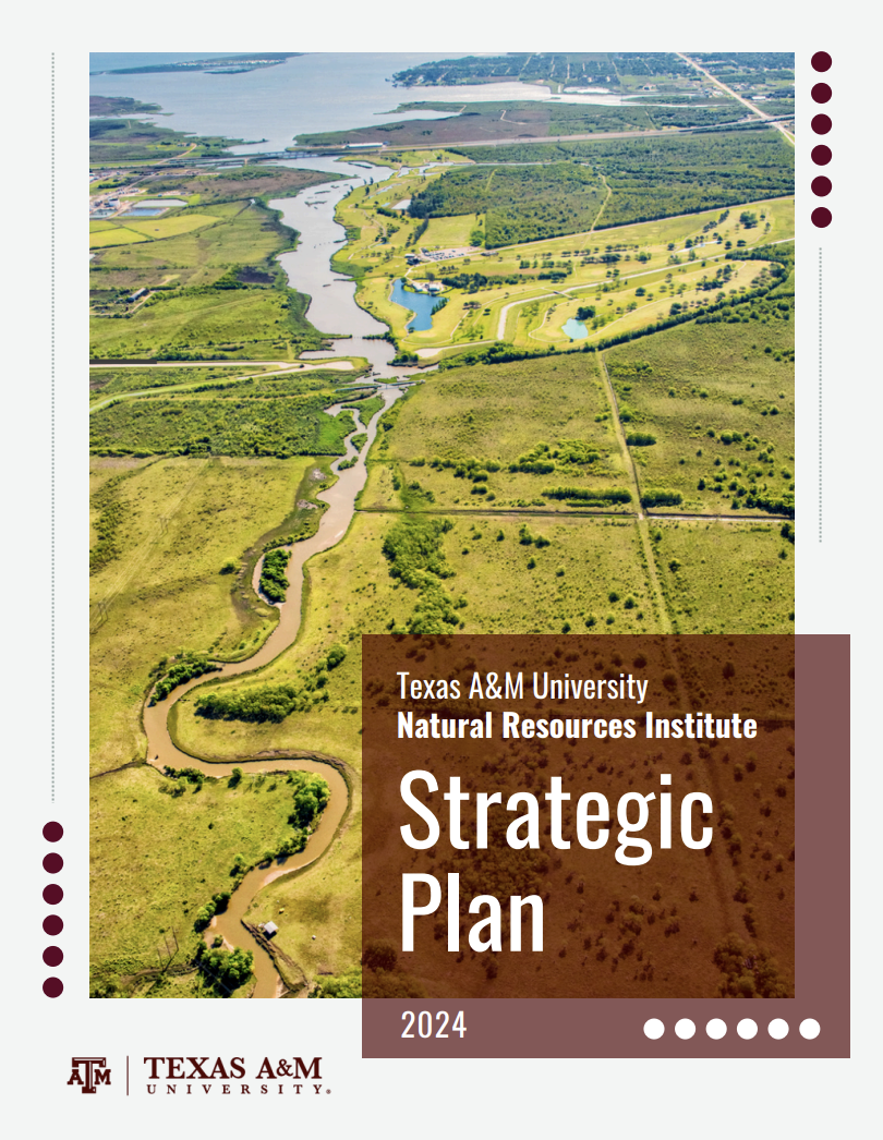 Strategic Plan.png