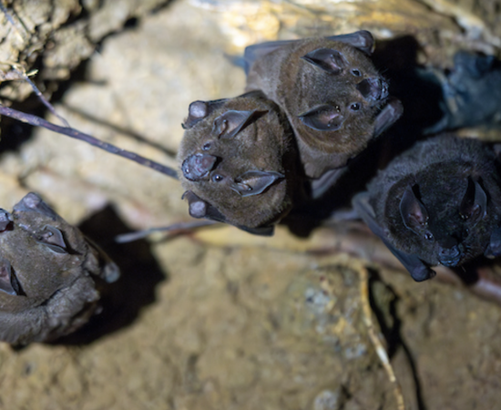 Screenshot 2024 10 21 At 1.47.23 PM