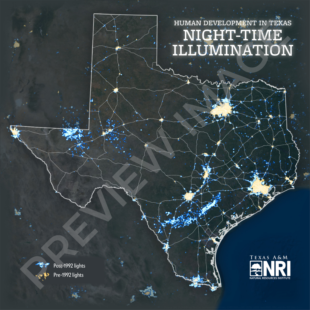 Texas Night Lights Map Logo