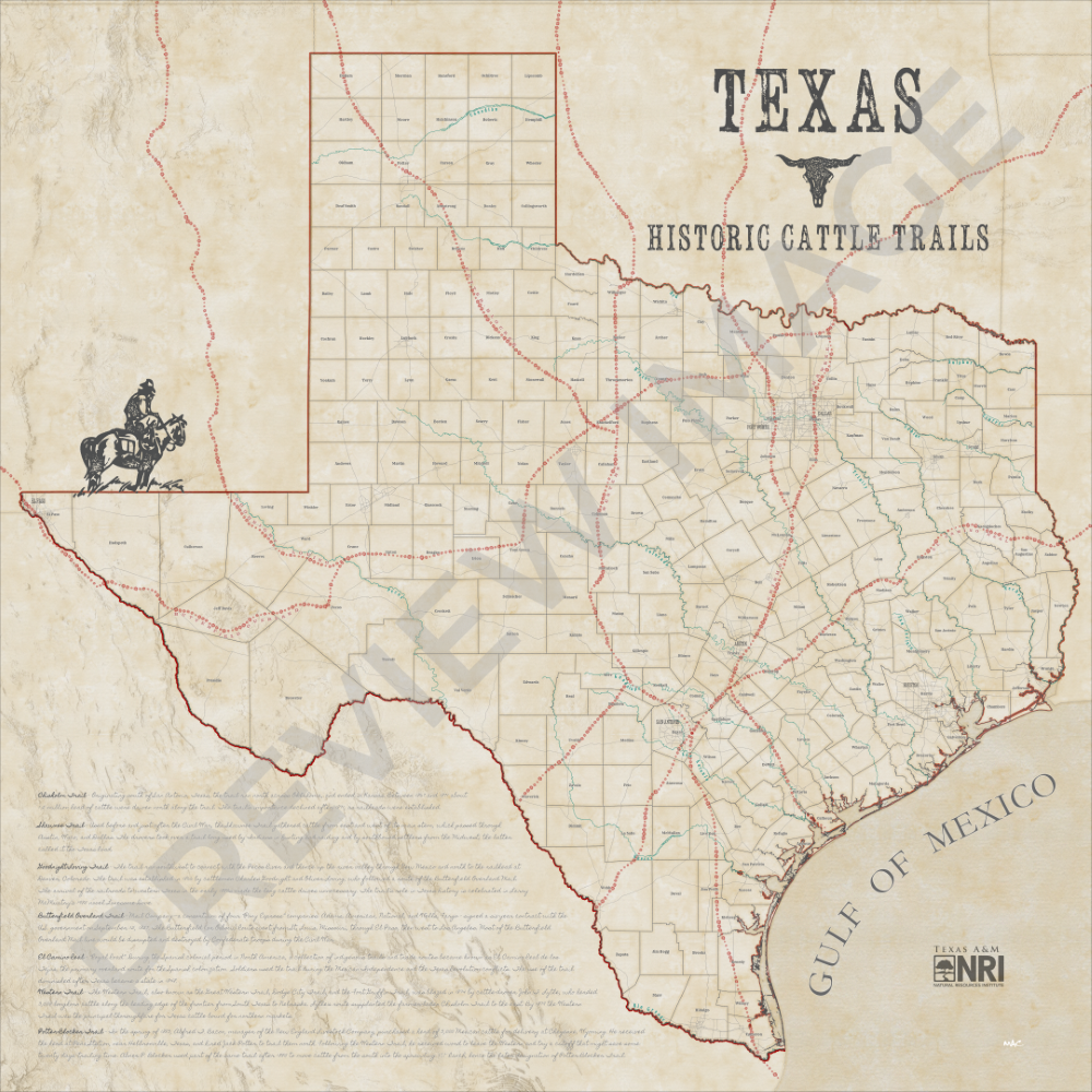 Texas Historic Cattle Trails Map Logo