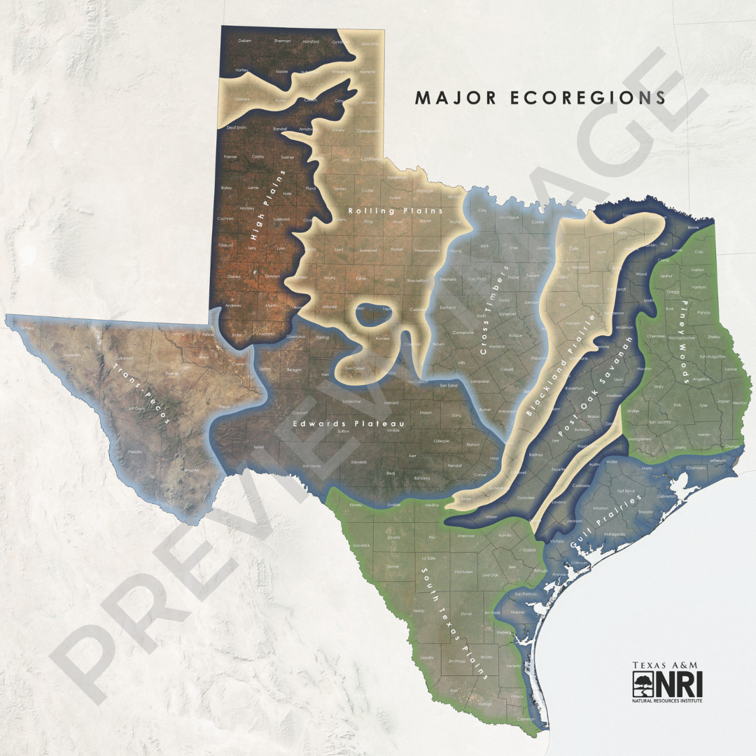 Texas Ecoregions Map Logo
