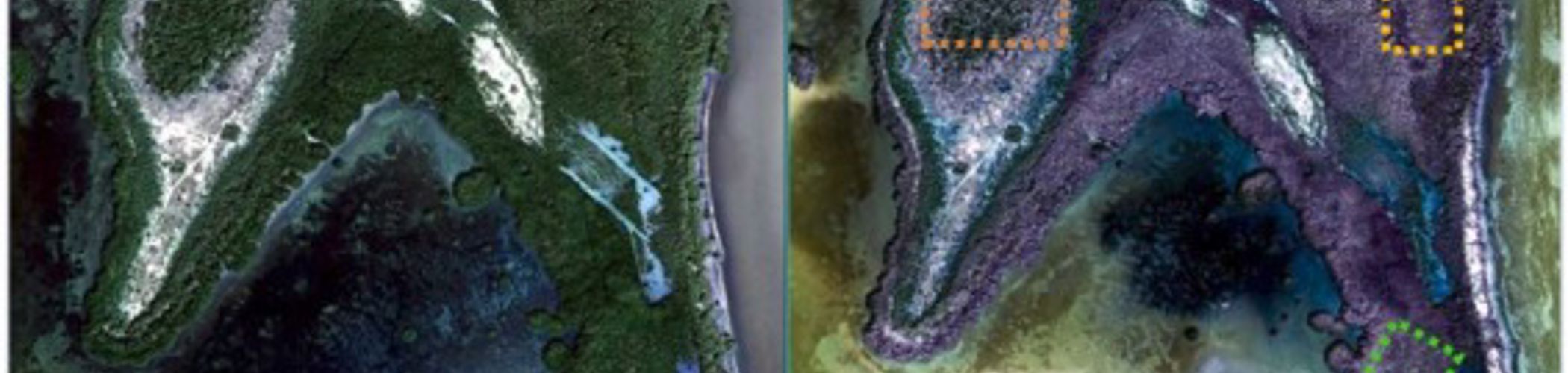 bg_image